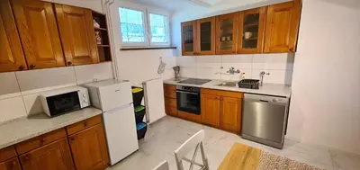 a kitchen with wooden cabinets and stainless steel appliances at Apartma pri Klari in Kočevje