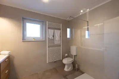 a bathroom with a toilet and a shower and a window at Apartma Jana in Žirovnica