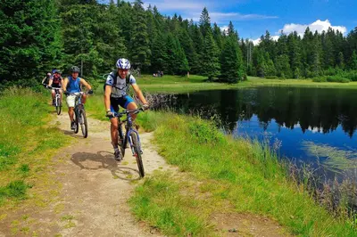 three people riding bikes down a trail next to a lake at Apartments Bogdanovic in Maribor