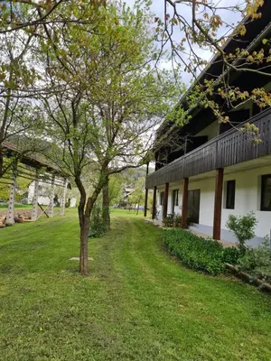 a tree in the grass next to a building at Gostilna Batišt in Bohinjska Bela
