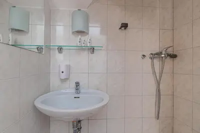 a bathroom with a sink and a shower at Apartments Lavrič in Velike Bloke