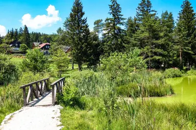 a wooden bridge over a pond in a park at Apartments Lavrič in Velike Bloke