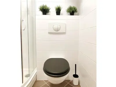 a bathroom with a black toilet with plants on the wall at Apartment Marusa in Moravske Toplice