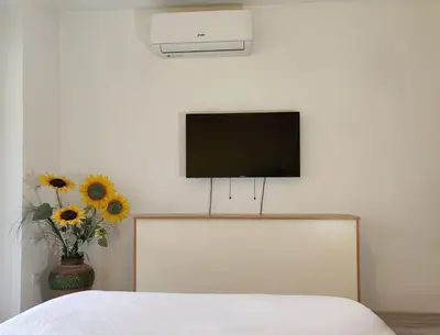 a flat screen tv on a wall with a vase of flowers at Apartment Marusa in Moravske Toplice
