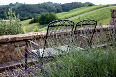 two benches sitting in a garden with flowers at Herga Wine Estate - Old lady - Holiday Home in Ivanjkovci