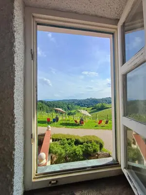 a window with a view of a garden at Herga Wine Estate - Old lady - Holiday Home in Ivanjkovci