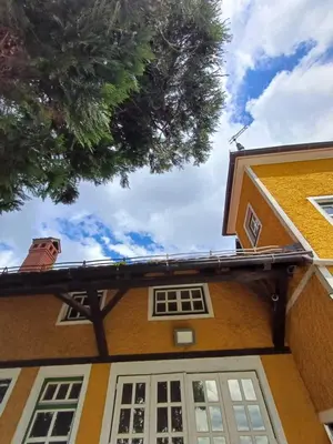 a yellow house with white windows and a tree at Herga Wine Estate - Nest above wine cellar - rooms in Ivanjkovci