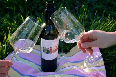 two people holding wine glasses next to a bottle of wine at Zarova Apartment with wine tasting experience in Kojsko