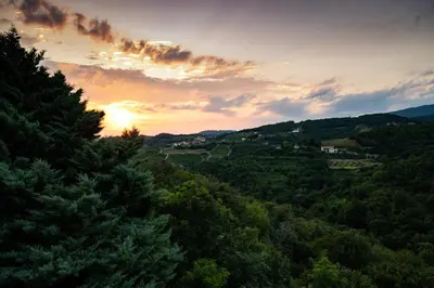 a sunset over a valley of trees with the sun setting at Zarova Apartment with wine tasting experience in Kojsko