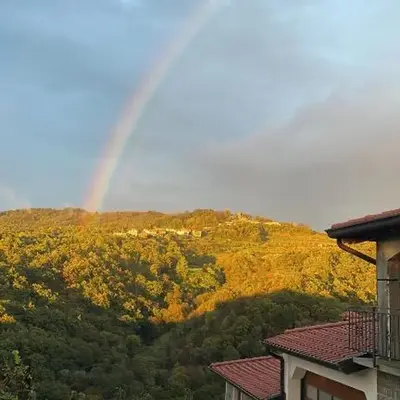 Zarova Apartment with wine tasting experience
