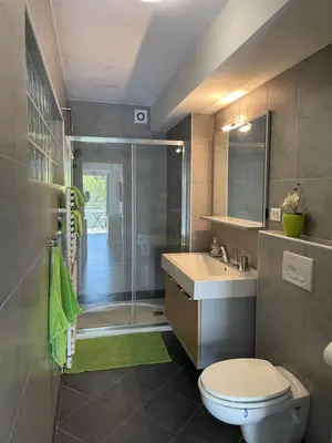 a bathroom with a shower and a toilet and a sink at Apartments Rose in winter in Bled