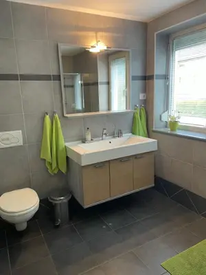a bathroom with a sink and a toilet and a mirror at Apartments Rose in winter in Bled