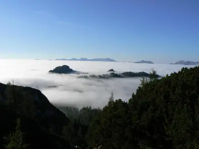 a view of a foggy valley with trees and mountains at Hiška Henrik Zalokar in Bohinj