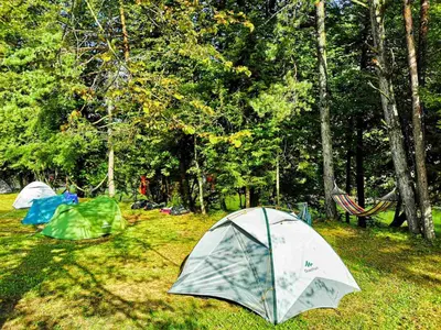 Gallery image of ECO River Camp - Pitches in Radovljica