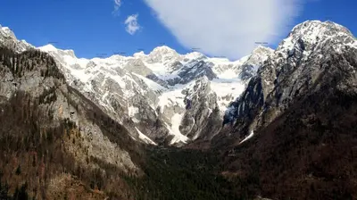 a snow covered mountain with trees in front of it at Guest House Kraljev Hrib in Kamniška Bistrica