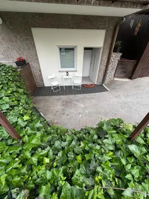 a room with two chairs and a bunch of plants at Apartment JANG in Tolmin