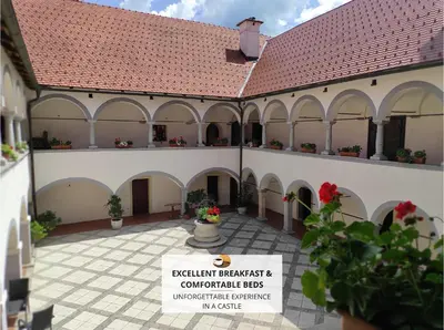 an external courtyard of a building with a tile roof at Grad Tuštanj in Moravče