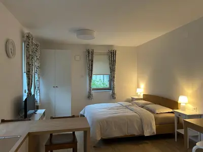 a bedroom with a bed and a table and a television at Apartment Gallus in Bled