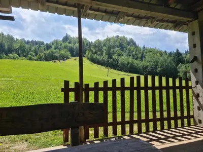 a bench sitting in front of a fence with a field at Apartments Anž'k in Bled
