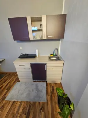 a small kitchen with a sink and a mirror at Soba 4 v Pekrski vili in Limbuš