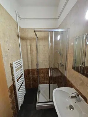 a bathroom with a shower and a sink at Soba 4 v Pekrski vili in Limbuš