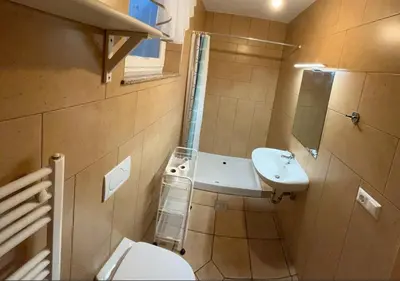 a bathroom with a toilet and a sink at SOS Apartments in Radovljica