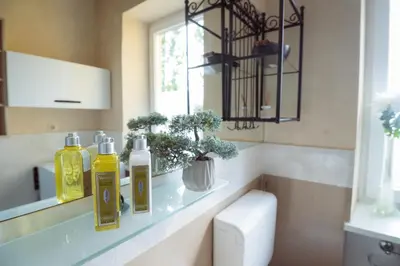 a bathroom with a shelf with two bottles on it at Riverview Residence - with parking in Ljubljana