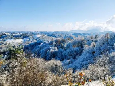 a view of a snow covered valley with trees at Haloze ForMe in Zavrč