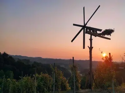 a windmill on a hill with the sunset in the background at Haloze ForMe in Zavrč