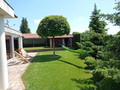 a garden with a hammock under a tree at Haloze ForMe in Zavrč
