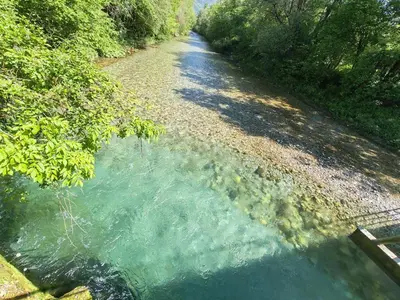 a body of water next to a dirt road at Apartment Ursa Major in Preddvor