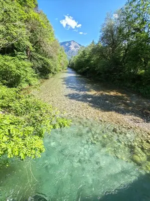a river with trees and a mountain in the background at Apartment Ursa Major in Preddvor