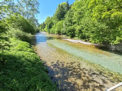 a river with trees on the side of it at Apartment Ursa Major in Preddvor