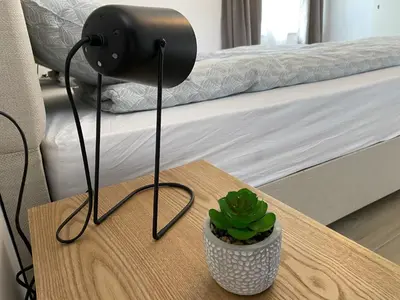 a table with a lamp and a cactus on it at Apartmaji Sofija&Ana in Bovec