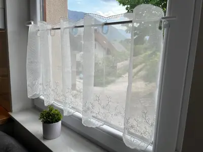 a window with white curtains and a potted plant at Apartmaji Sofija&Ana in Bovec