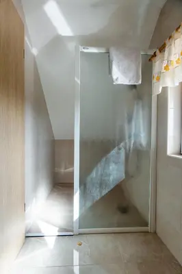 a shower with a glass door in a bathroom at WeinSpitz - Wellness House in Miklavž pri Ormožu