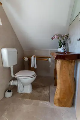 a bathroom with a toilet and a wooden sink at WeinSpitz - Wellness House in Miklavž pri Ormožu