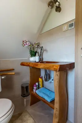 a bathroom with a sink and a toilet at WeinSpitz - Wellness House in Miklavž pri Ormožu