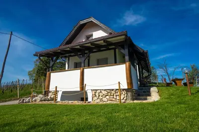 a small house in a field of grass at WeinSpitz - Wellness House in Miklavž pri Ormožu