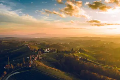 a view of a vineyard in the hills at sunset at GRAND CENTRAL LJUTOMER in Ljutomer