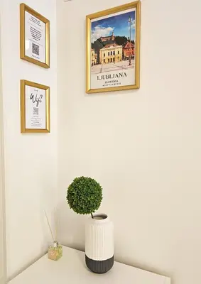 a white wall with a picture and a plant on a table at TOP - Ljubljana's Central Gem - free public parking in Ljubljana