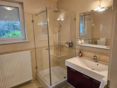 a bathroom with a shower and a sink and a mirror at Hišica ob Potoku in Podčetrtek