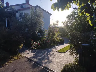 a driveway leading to a house with trees and flowers at Zala Apartment in Zgornje Škofije