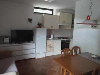 a kitchen with a white refrigerator and a table at Zala Apartment in Zgornje Škofije
