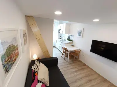 a living room with a black couch and a kitchen at One-bedroom city apartment in Ljubljana