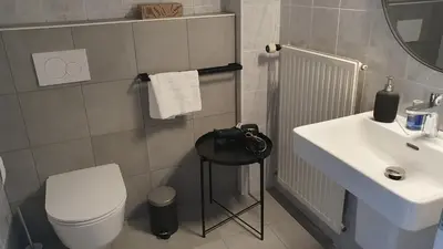a bathroom with a white toilet and a sink at River House Radolca in Radovljica