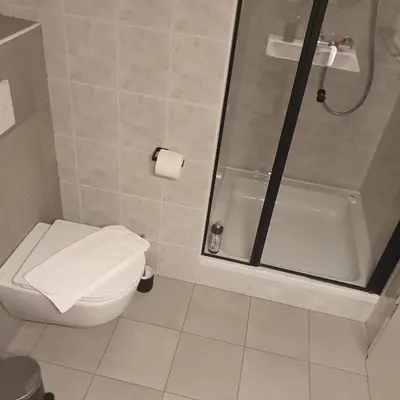 a bathroom with a shower and a toilet and a sink at River House Radolca in Radovljica