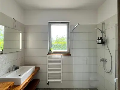 a bathroom with a sink and a shower at Resort Franko Spacious house with a pool in Obrov