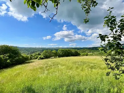 a field of grass with a blue sky and clouds at Resort Franko Spacious house with a pool in Obrov