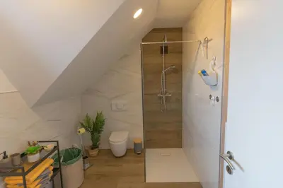 a bathroom with a shower and a toilet at Apartma Fantazija in Ribnica